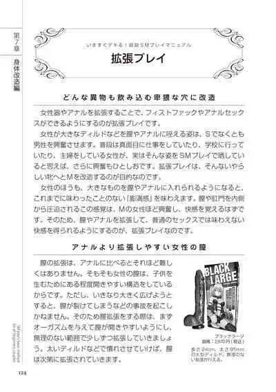いますぐデキる 図説SMプレイマニュアル