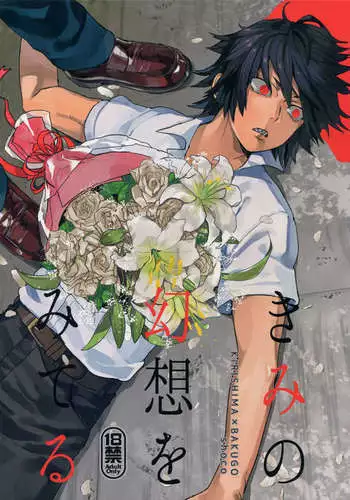 Kimi no Gensou o Miteru