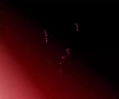 Jukuyoku no Yakata Inran Jukujo Shimai, Shonen wo Nomikomu Nikuyoku Bosei