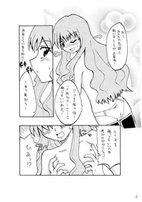 [Hoshimaki Project (Yano Toshinori)] Erorui (Zero no Tsukaima)