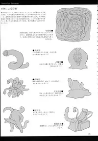 (C89) [SHIS (Z-ton)] A Beautiful Greed Z-ton Jingai Soushuuhen