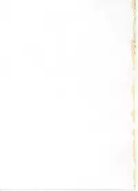 (CR35) [FAKESTAR (Miharu)] D (Record of Lodoss War)