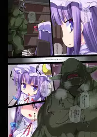 (C79) [Kazemichiya (Mamo Williams)] Missing moon 3 (Touhou Project)