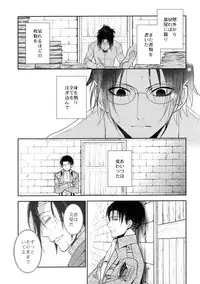 (C90) [RIX (Mamiya)] Ten ni Habataita Sono Ato mo (Shingeki no Kyojin)