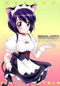 (C63) [Neko to Hato (Hatoya Mameshichi)] Tokinoyu Rhapsody (UFO Princess Valkyrie)