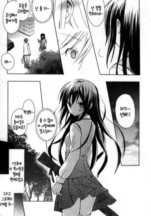 Candy Puff Shokai Genteiban + Mini Gashuu