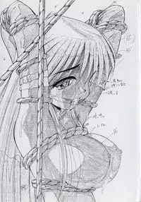 [Marugoto Ringo] Rachi Kankin