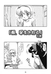 (SC31) [Mouko Mouretsu Hasai Dan (Ryumage)] Ninshin Shinobu Densetsu (2x2 = Shinobuden)