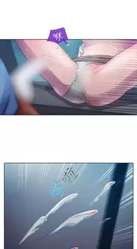 [Studio Gale] Lady Garden 淑女花苑 第一季 [Chinese]