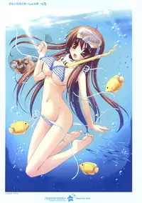 Tsunagaru Bangle - Visual Fan Book