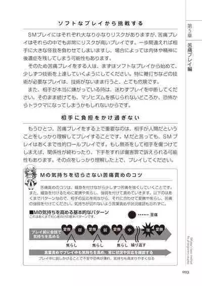 いますぐデキる 図説SMプレイマニュアル