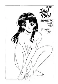 (C49) [STUDIO UNBALANCE (Various)] Sadistic Angels (Neon Genesis Evangelion)