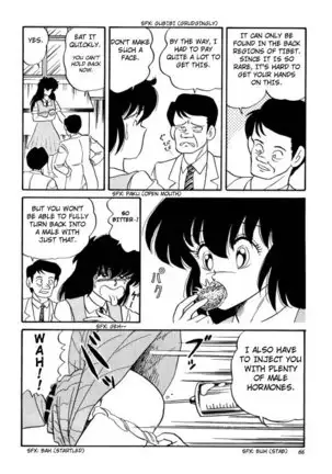 BishouJo Henshin Densetsu