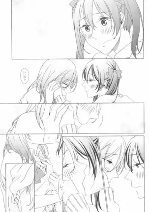 ペトリの朝に花束を