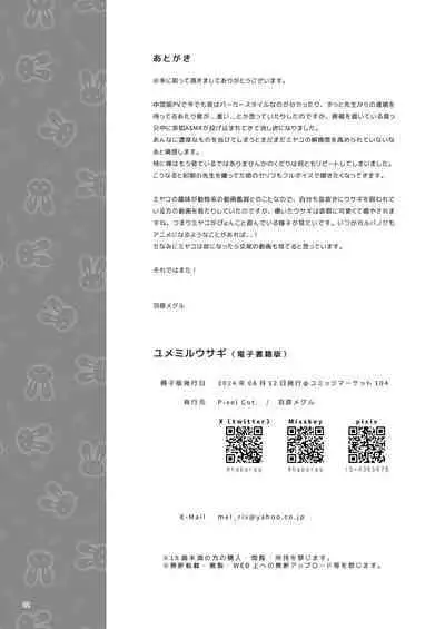 Yumemiru Usagi | 如入梦境的兔子