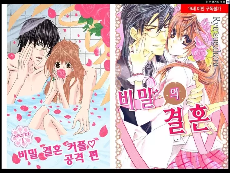 Naisho no Love Mariage | 비밀의 결혼