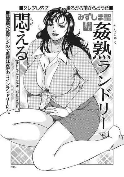 人妻艶熟ものがたり