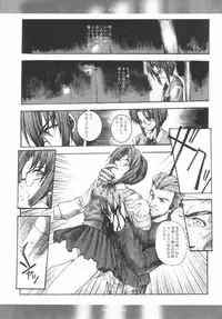 [CHRONOLOG, R-Works] SCHERZO (Tsukihime)