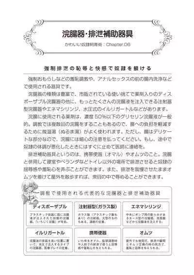 Zero kara Hajimeru SM Manual Kawaii Dorei Shiikujutsu