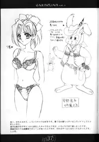 [CARNELIAN] CARNELIAN vol.2 - Re·Leaf Settei Shiryou Tsudo