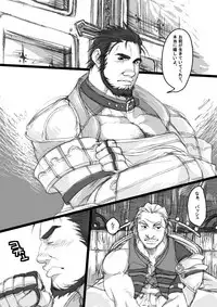 (Osuket 3) [Itachi Gokko (Takezamurai)] meet again (Final Fantasy XII)