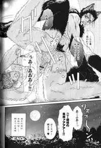 Macho Type Vol. 14 [JP]