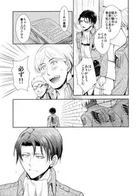 (C90) [RIX (Mamiya)] Ten ni Habataita Sono Ato mo (Shingeki no Kyojin)