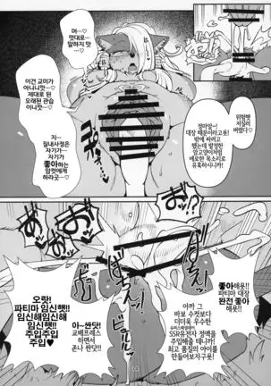 Fatima Carnival | 파티마 카니발