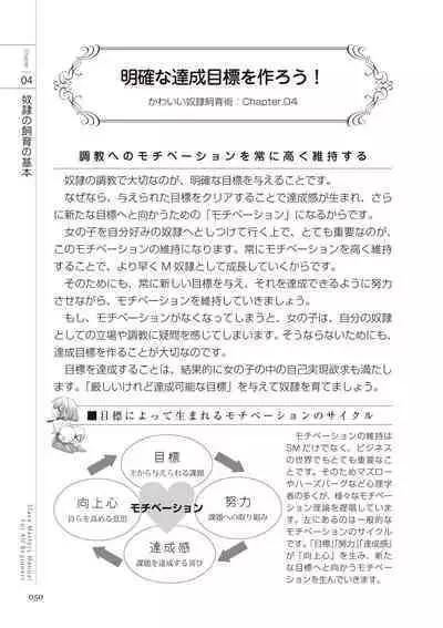 Zero kara Hajimeru SM Manual Kawaii Dorei Shiikujutsu