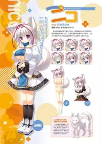 Zettai Series Visual Collection