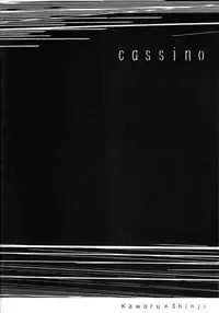 (C78) [cassino (Magarikoji Lily)] and down & down (Neon Genesis Evangelion)