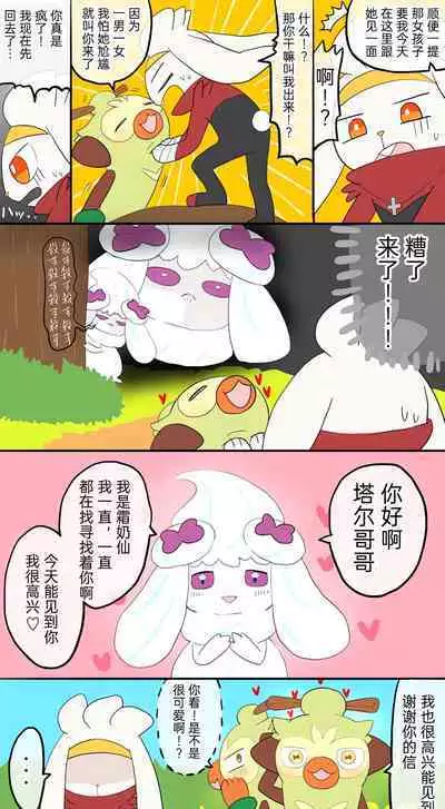 |宝可梦的故事（呜鸟木个人汉化组）