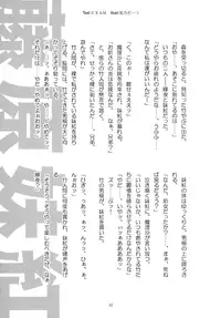 [Gutenberg no Musume (Hoshino Darts, KnightO Satoshi)] Max Spark! (Touhou Project)