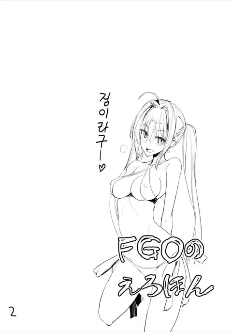 FGO no Erohon | FGO의 야한책