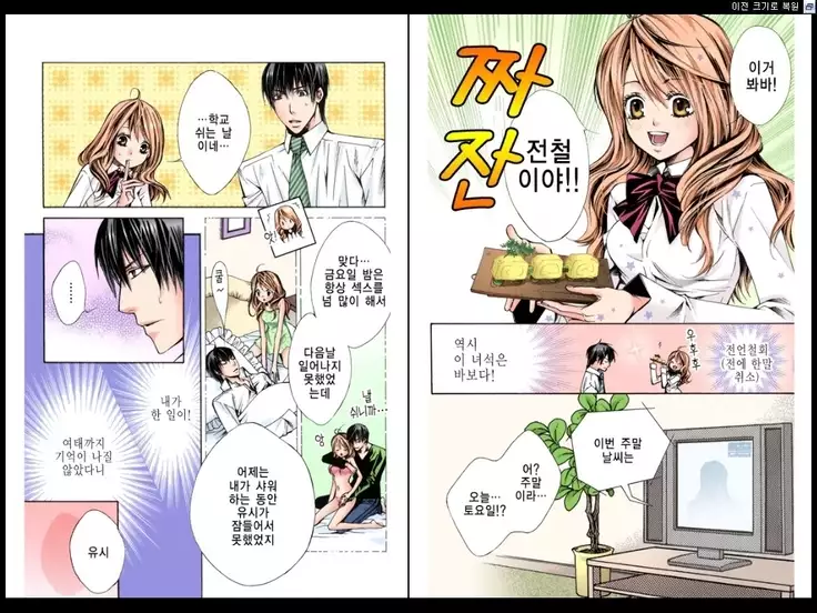 Naisho no Love Mariage | 비밀의 결혼