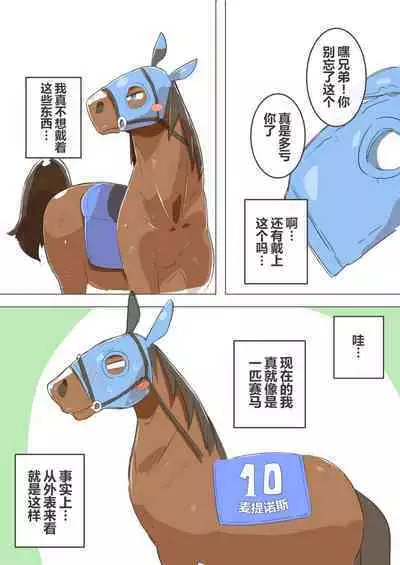 有秘密的竞赛马