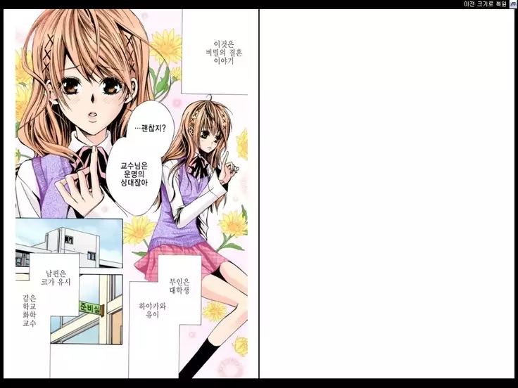 Naisho no Love Mariage | 비밀의 결혼