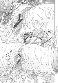 [From Japan] FYC R11Y (Various)