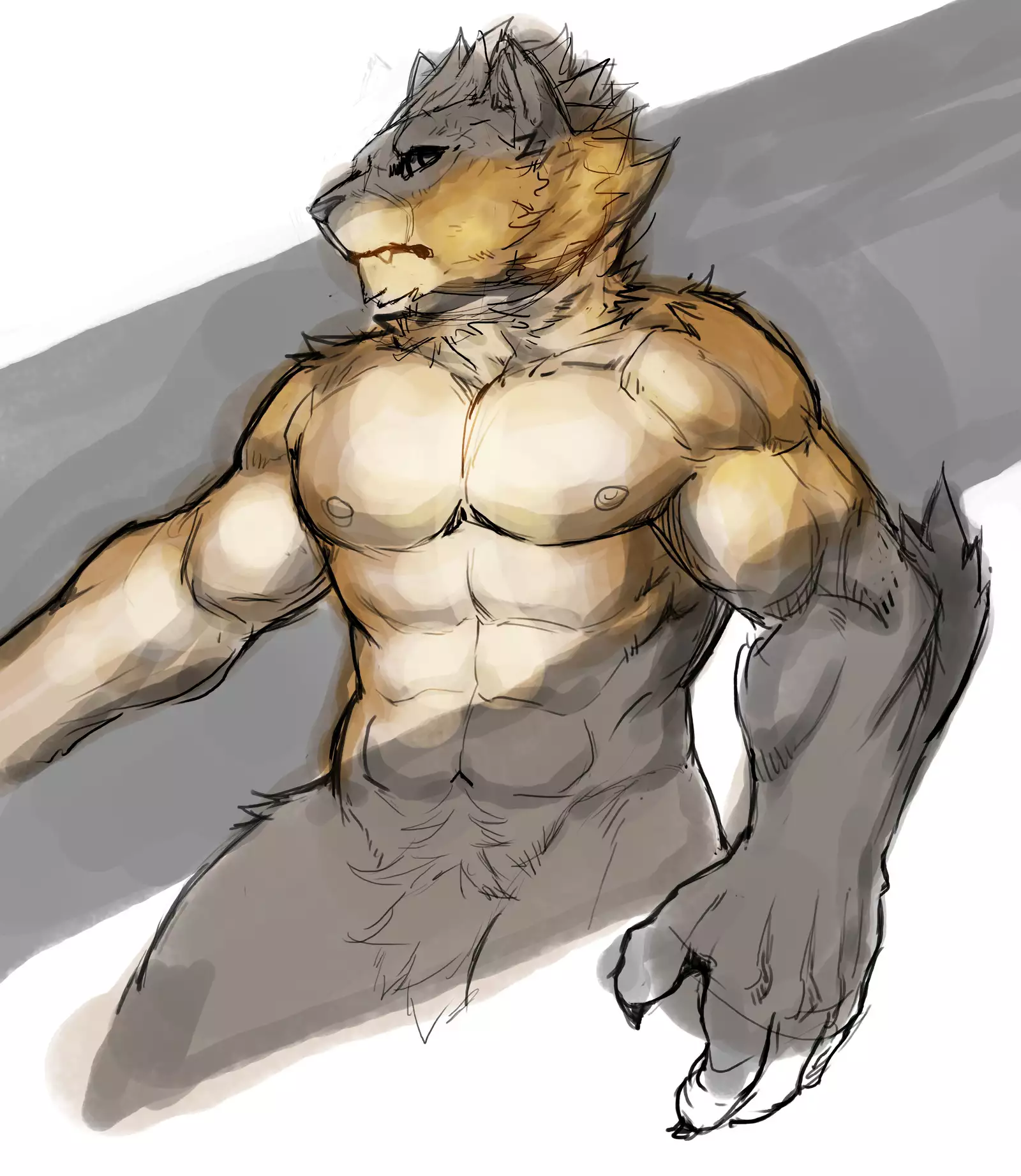 Nekojishi February 2018 Package Reward + Extras