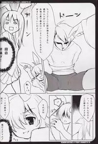 [P-POINT (Pikazo)] USAMIMI BUSTERS! (Touhou Project)