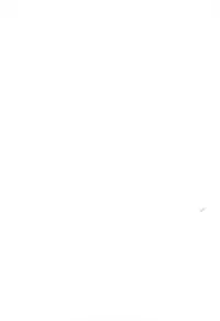 (C78) [Mouko Mouretsu Hasai Dan (Ryumage)] Ruri Plus+ (Martian Successor Nadesico)