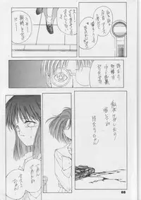 [Nippon Waruwaru Doumei] Fukou no Zenyasai [Sailor Moon]