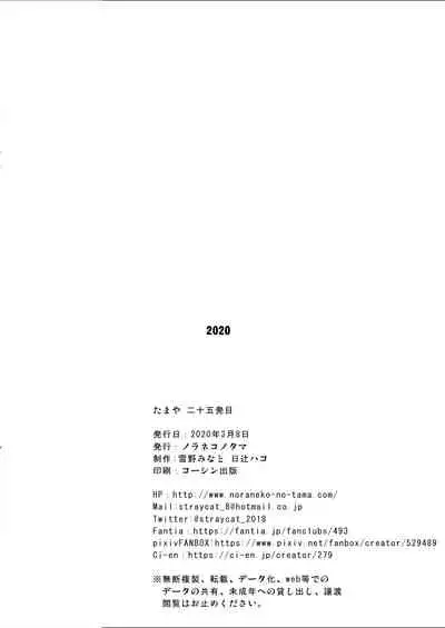 たまや 二十五発目