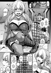 [Kazuhiro] Aijou no Injoku Elf Ch. 1-3, 8-10 [English] {Stopittarpit}