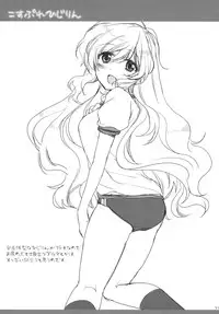 (C78) [Lesport (Nakayama Miyuki)] mogmog (Touhou Project)