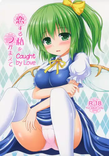 (Shuuki Reitaisai 2) [I'm (Matsubayashi Nagana)] Koisuru Watashi o Tsukamaete | Caught by Love (Touhou Project) [English] {Hennojin}