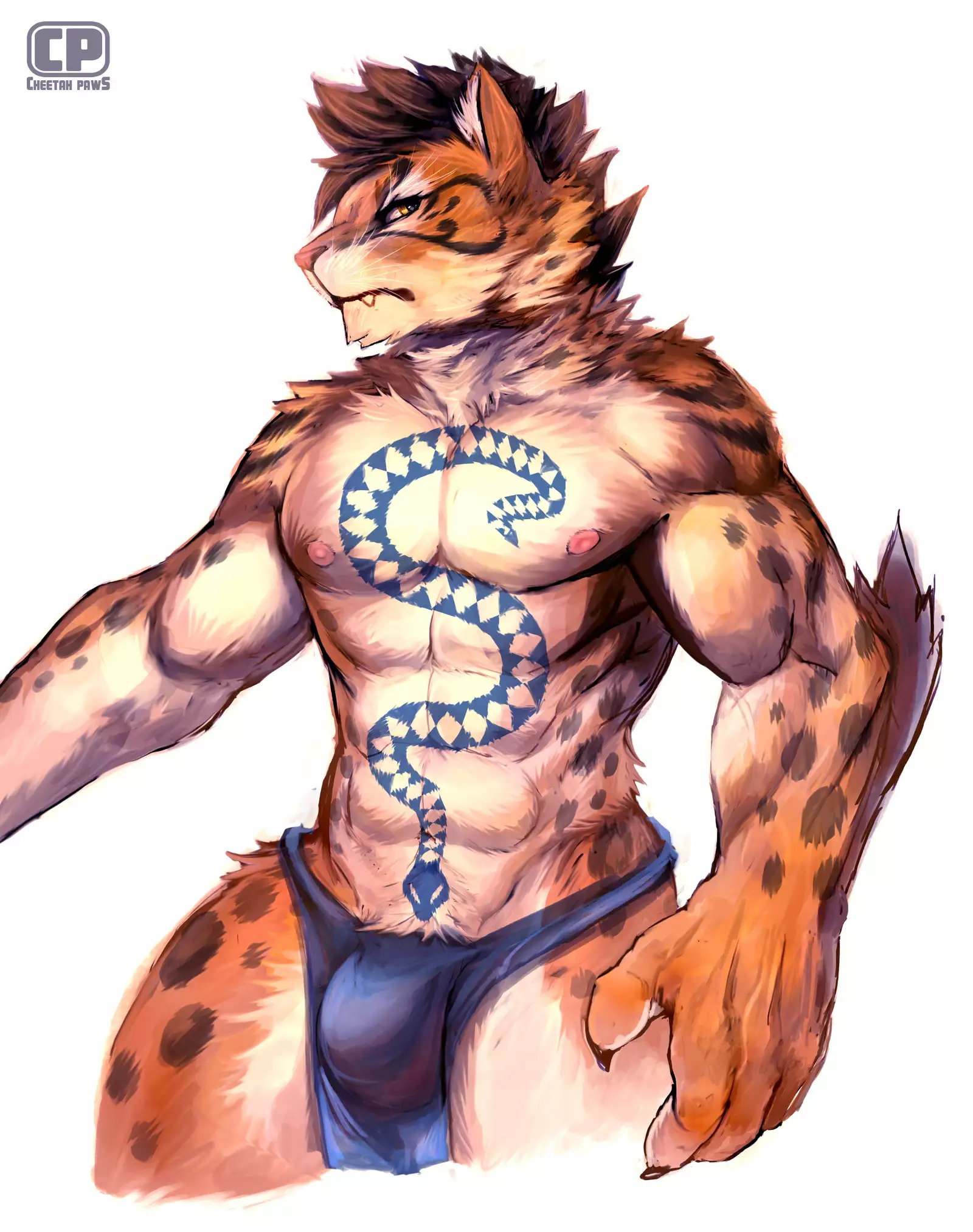 Nekojishi February 2018 Package Reward + Extras