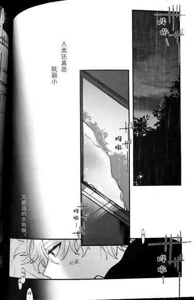 Ruru Toshite ｜娓娓道来