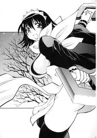 (C71) [Studio Wallaby (Nagisa Minami)] Iroha no Iro (Samurai Spirits)