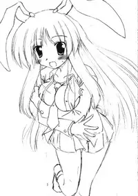 (SC33) [Yuugen Jikkou (Gonzaburo-)] Mousou Tsukinousagi (Touhou Project)